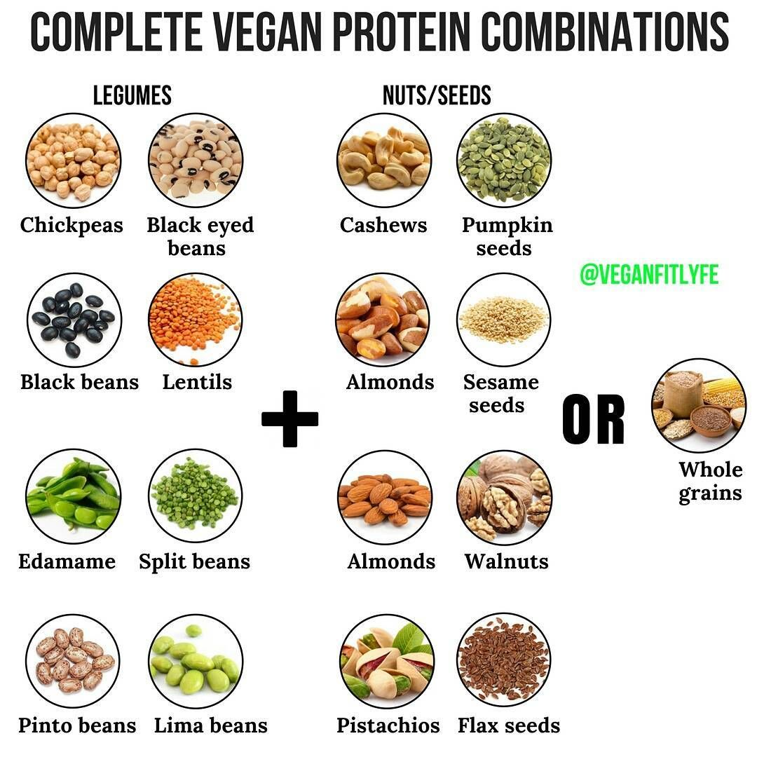 Vegan Complete Protein Sources